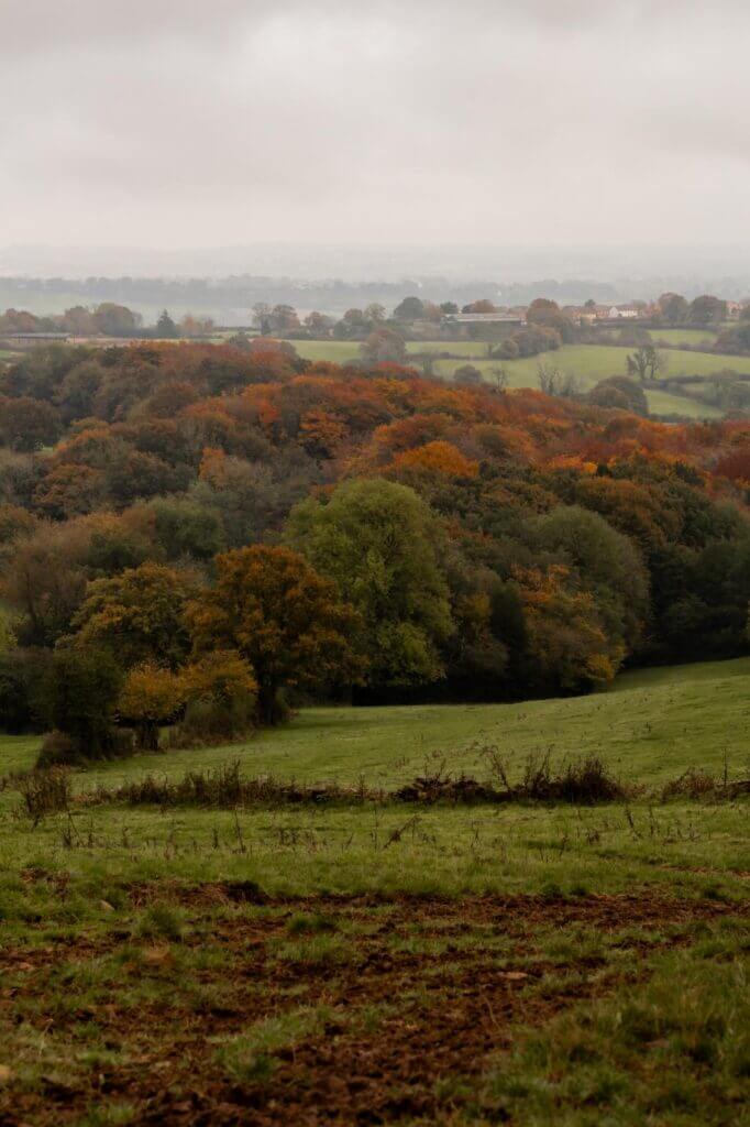 Countryside views from The Cabin, Derbyshire